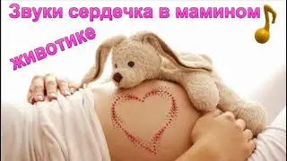 ♥ Звуки сердечка в мамином животике/Heart Sound in Mother Stomach