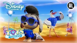 T.O.T.S. | Perfecte Foto | Disney Channel NL