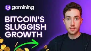 Bitcoin's Consolidation Amidst Significant ETF Outflows | GoMarket Weekly #14