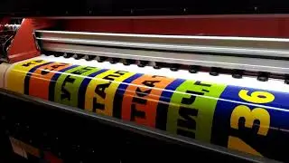 Wit Color ultra 3302