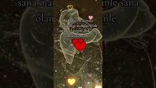 ❤️🌹❤️🌹❤️🌹❤️
