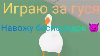 играем гусем