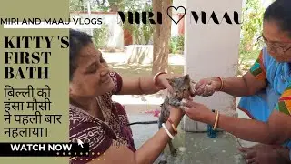 Miri's 1 st bath at our home|बिल्ली के बच्चे को पहली बार नहलाया।| How to bath a cat/kitten at home