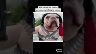 Когда меня заберут в армию