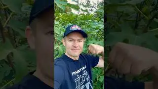 Новинка - FOX 🦊 EVOLUTION. В погоне за трофеем! 😎
