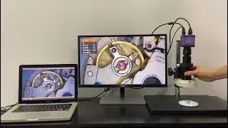 Adjustable Zoom C-Mount Adapter With Microscope HDMI Camera