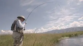ORVIS PRESENTS: 90 and Counting