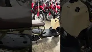 2024 Honda NPS50 Ruckus