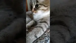 Здорово, пошли мы договаривались бегать начать 