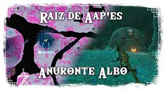 Zelda Tears of the Kingdom - Raiz de Aap'es y Anuronte Albo