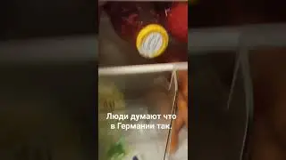 так каждый день.