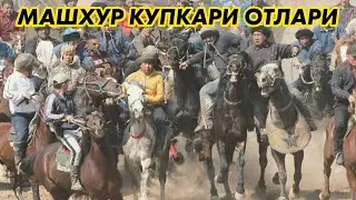 СУРХОНДАРЁ ГРУППАСИНИНГ МАШХУР КУПКАРИ ОТЛАРИ 1-КИСМ
