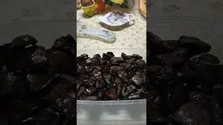 ШЛЯПКИ в ЗАГОТОВКИ к КАРТОШЕЧКЕ