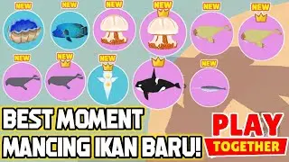 best moment mancing ikan besar baru mahkota play together