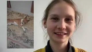 Басенджи: идеальные собаки для аллергиков