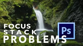 How to FOCUS STACK Part Two | Dealing with Anomalies in PHOTOSHOP