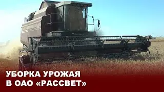 Уборка урожая в ОАО 
