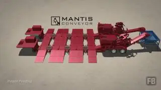 The Dual Mantis System