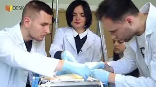 Тетяна Лапікова   Серцево судинна система DESK