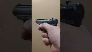 Sauer 1919 25ACP ザウエル&ゾーン テスト射撃