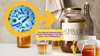 Bacteriocins Explained | Gut Health and Kombucha Benefits | Natural Antimicrobials | Homebrew Tips