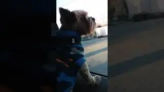 1 января 2024 г.