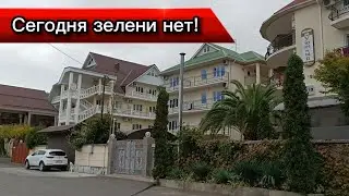 Прогулки по Лазаревскому