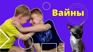 Вайны от Миши и Степы