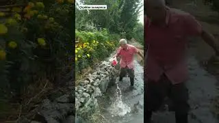 çiçekler susayınca