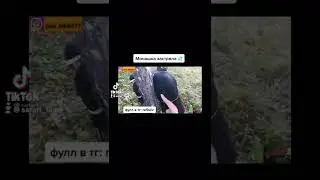 Монашка застряла #shorts #тренды #2022 #рекомендации