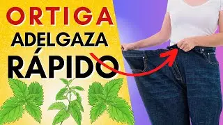 Cómo Tomar el Té de Ortiga para Adelgazar y Disfrutar de sus Propiedades Quemagrasas