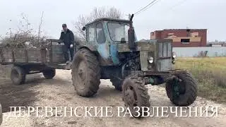20 соток/остались без деревьев/посадили чеснок