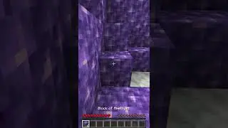 This Minecraft video is NOT a loop. 