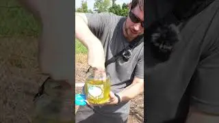 Cooking pickles with RF