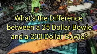 (1177) What's the Difference between a 25 Dollar Bowie and a 200 Dollar Bowie?