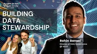 Building A Best In Class Data Stewardship Program