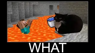 Maxwell the Cat in Minecraft wait what meme part 160