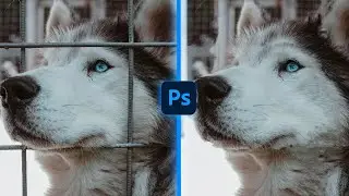 Remove FENCE BAR in PHOTOSHOP EASILY