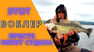 The best wobbler for pike perch, for trolling. Argazi, trolling in one spinning.