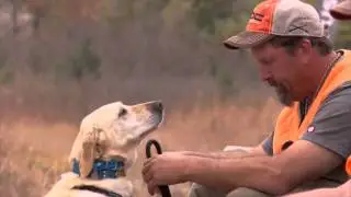 Bird Dog Wars | Pursuit Channel Teaser