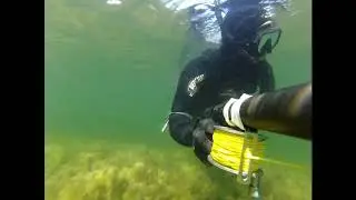 Подводный мир озера Кандры Куль