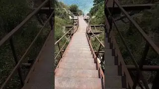 Нудисты 