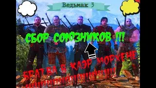 Как собрать союзников в Каэр Морхене | Совет могущественных !!
