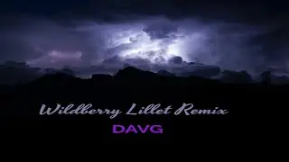 Nina Chuba - Wildberry Lillet [Davg Bounce Remix]