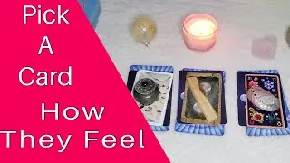 🔮Pick A Card🔮 How They Feel About You 💕 Timeless Love Reading ✨Twin Flame Soulmate
