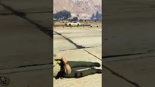 Got YEETED - lspdfr