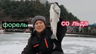Южная Корея,  рыбалка на царскую рыбу, форель. Было очень мало времени,  но я смог поймать форель.