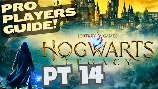Hogwarts Legacy Pt 14