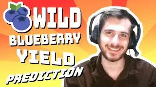 Wild Blueberry Yield Prediction (Hyperparameter Optimization) - Data Every Day #237