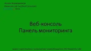 Веб консоль  Панель мониторинга